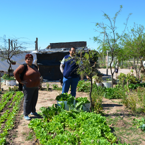 Qué es el Movimiento Arraigo, el proyecto que busca producir alimento en tierras fiscales