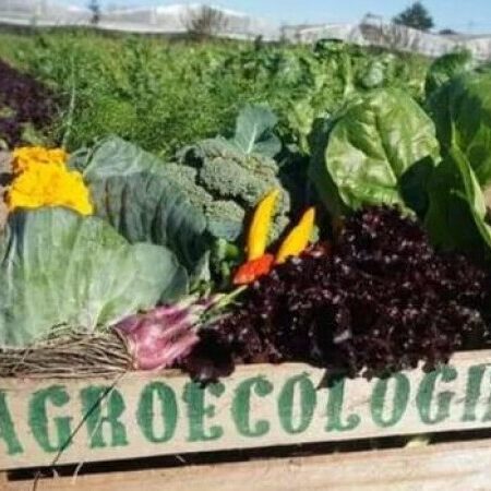 Presentaron la Ley de Producción Agroecológica de Alimentos bonaerenses￼
